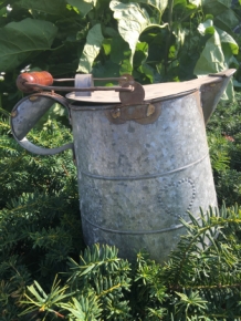 Water jug, Vienne, zinc