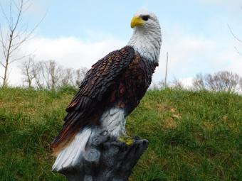 Statue Eagle XL - 105 cm - Polystone