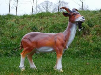 Statue Goat with Goatee - 60 cm - Polystone