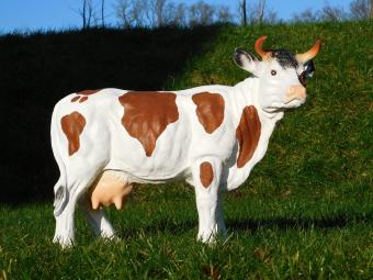 Cow in Colour - 65 cm - Brown with White - Polystone