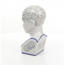 Een porseleinen phrenology hoofd in blauwe kleuring.