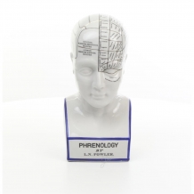 Een porseleinen phrenology hoofd in blauwe kleuring.