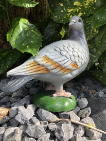 Schöne Statue, in Farbe, einer Taube, aus Gusseisen, schön