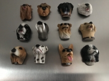 Fridge magnets, 12 dogs as a nice decoration