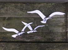 A set of seagulls, nice wall decoration, silver-colored