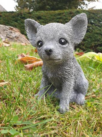 Garden sculpture of a dog, Chihuahua, puppy