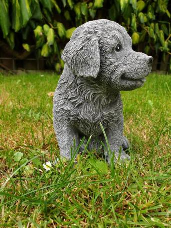 Golden Retriever puppy, dog, garden sculpture