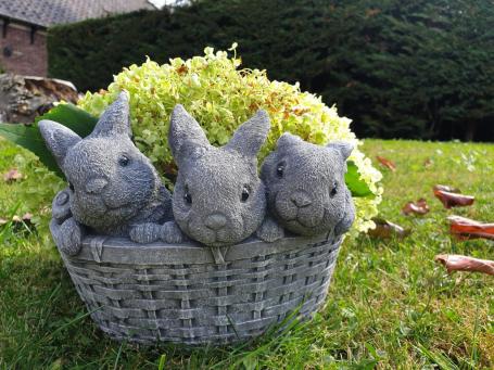 Pflanzgefäß, Blumenkasten mit 3 süßen Hasen