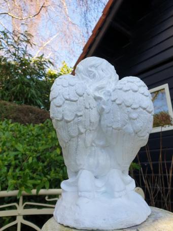 Praying angel, garden statue