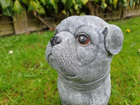 concrete statue dog cas
