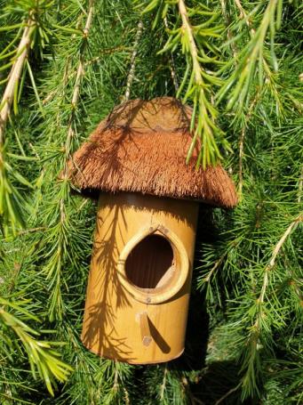 Bird house, bamboo, coconut