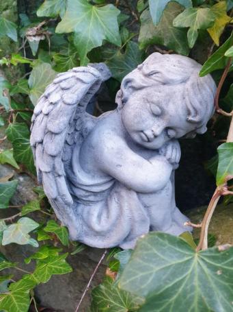 Angel, Sophie, garden statue