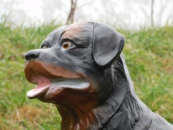 Beeld Rottweiler - 80 cm - Polystone