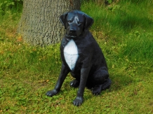 Beautiful ''Rottweiler'' black/white - from Polystone