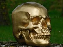 Skull - Schedel - Polystone - Goud