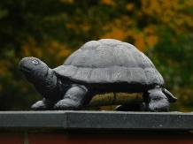 Statue Turtle - Cast iron - Decorative statue