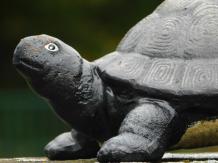 Statue Schildkröte - Gusseisen - Dekorative Statue