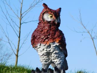 Owl XL - 40 cm - Brown - Polystone