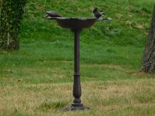 Large Bird bath on Foot - Bowl in Leaf Shape - Cast iron