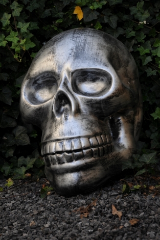 Very large anatomical skull, made of Polystein-grey-black