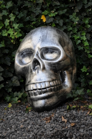 Very large anatomical skull, made of Polystein-grey-black