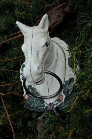 Pferdekopf mit Ring, Gusseisen weiß/rost