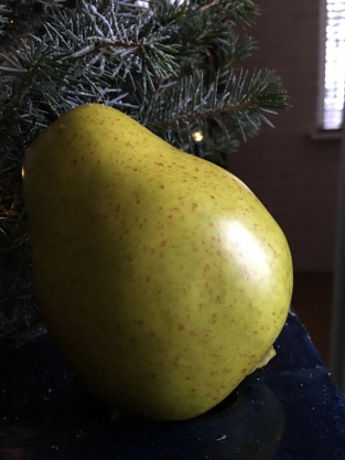 Beautifully real-looking pear, see the photos!!