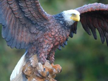 Statue Adler - 40 x 50 cm - Polystone