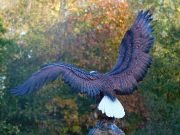 Statue Adler - 40 x 50 cm - Polystone