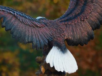 Statue Adler - 40 x 50 cm - Polystone