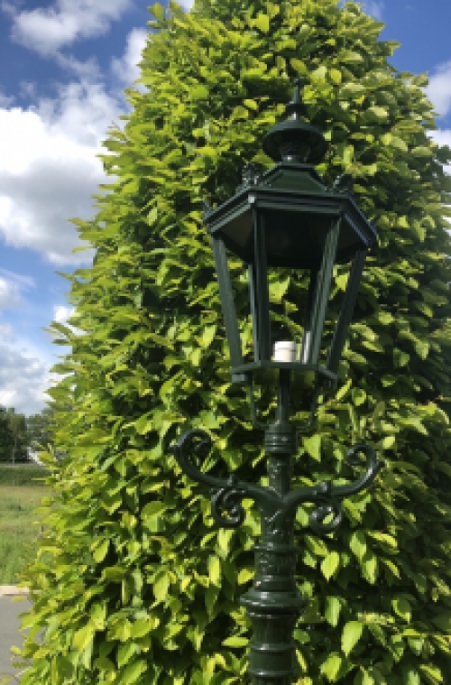 Outdoor lamp, lantern Amsterdam with ceramic fitting and glass, cast aluminum, 320 cm.