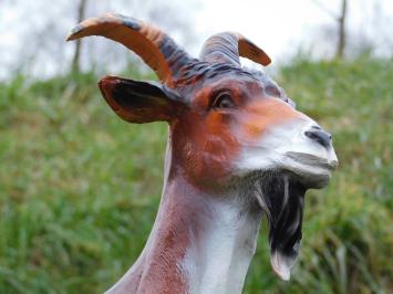 Statue Goat with Goatee - 60 cm - Polystone