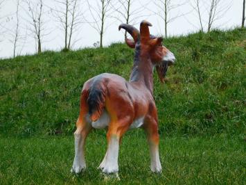 Statue Goat with Goatee - 60 cm - Polystone