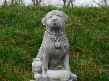 Statue Dog - 35 cm - Stone