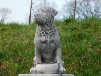 Statue Dog - 35 cm - Stone