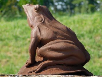 Statue Frog - Oxide - Cast iron