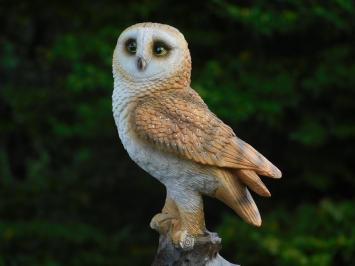 Statue Owl - 35 cm - Polystone - Detailed