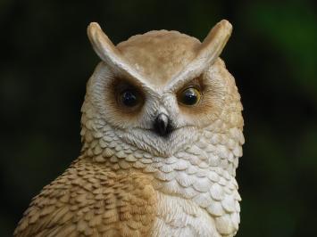 Owl on Stump - 35 cm - Polystone - Detailed