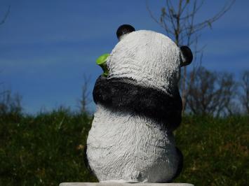 Statue Sitting Panda - Polystone - in Colour