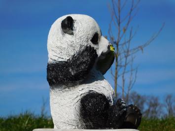 Statue Sitting Panda - Polystone - in Colour