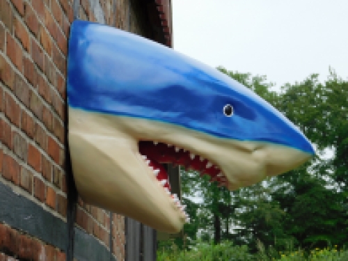 Large shark head with open mouth.