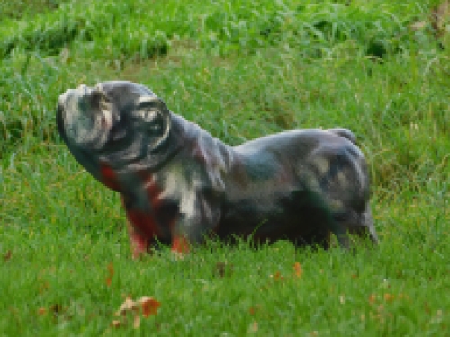 Statue Bulldogge - mehrfarbig - Polystone