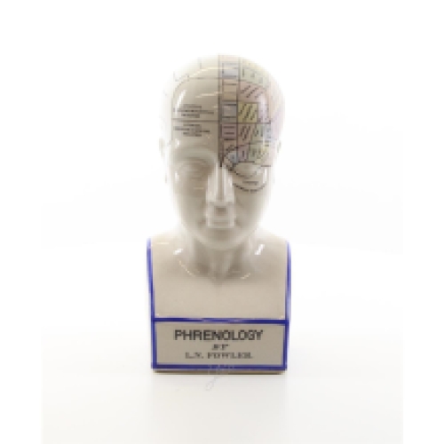 A porcelain phrenology head in colours