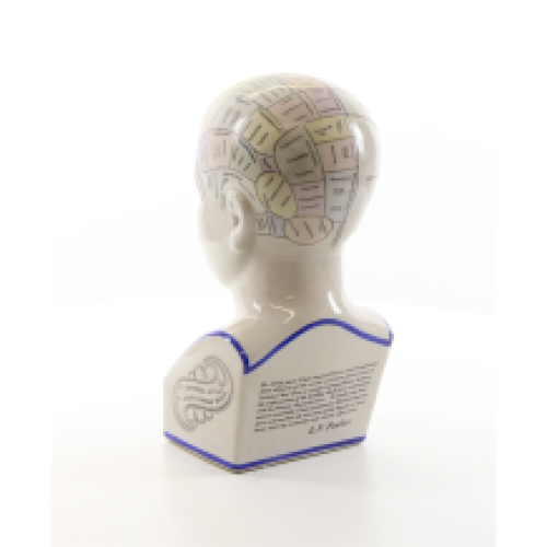 A porcelain phrenology head in colours