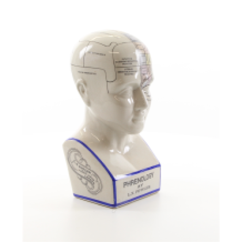 A porcelain phrenology head in colours