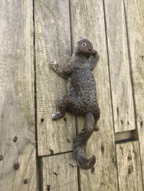 Een klimmende eekhoorn, kapstok-gemaakt van gietijzer, wanddecoratie