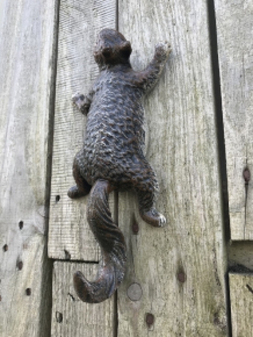 Ein kletterndes Eichhörnchen, wandhaken-aus Gusseisen, Wanddekoration