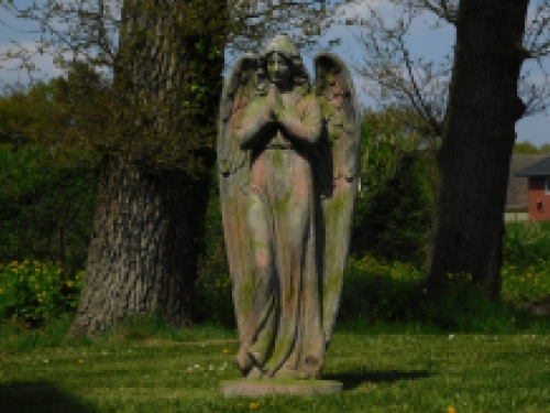 Statue Angel - polystone - 118cm