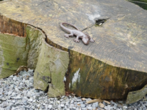 Schöne Eidechse, Gecko als Dekoration, Salamander aus Gusseisen