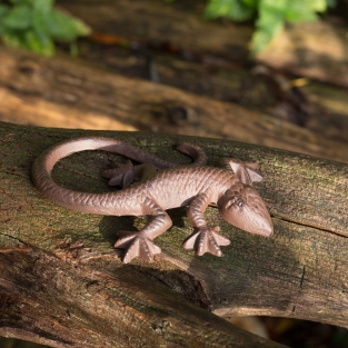 Mooie hagedis, gekko als decoratie, gietijzeren salamander